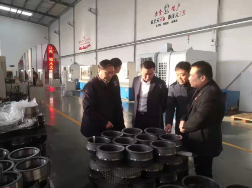 全力壯(zhuàng)大發展(zhan)新動能(néng) 打造科(ke)技創新(xin)軸承産(chan)業鍊